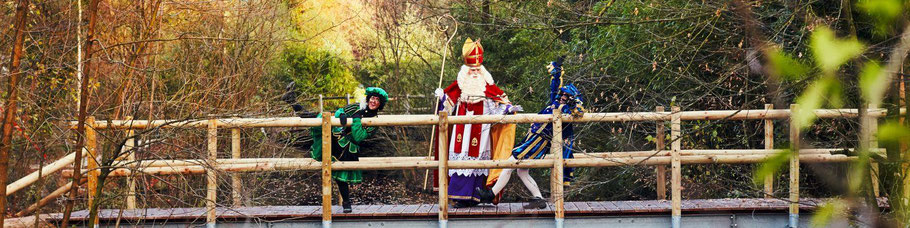 Korting Sinterklaas Center Parcs