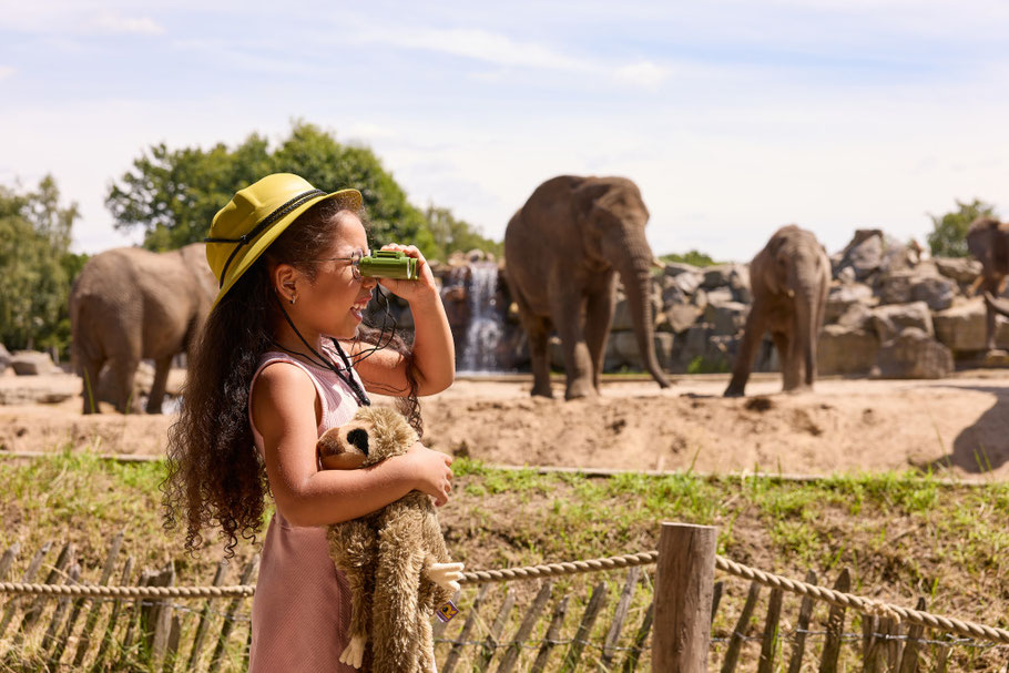 Vakantiepark Beekse Bergen korting