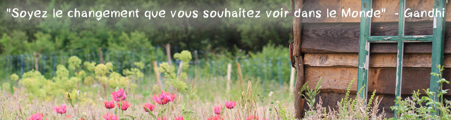  permaculture, OSBD, psychologue, accompagnement, permaculture humaine, nature, ressourcement, communication consciente, communication non violente, la roche sur yon, vendée, pays de la loire, cnv, gestion des émotions, rosenberg, formation, stage