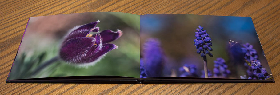 www.marcs-fotografieseite.de, Marc Eggelhöfer, Saal Digital, Fotobuch, 2014/2015, Blumen, Holzmusterung, cool