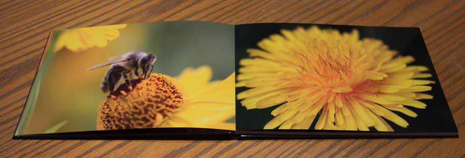 www.marcs-fotografieseite.de, Marc Eggelhöfer, Saal Digital, Fotobuch, 2014/2015, Blumen, Holzmusterung, cool