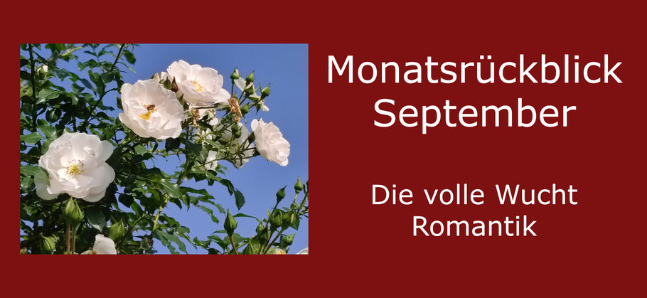 Monatsrückblick September - Aurelias Autorenblog: Die volle Wucht Romantik