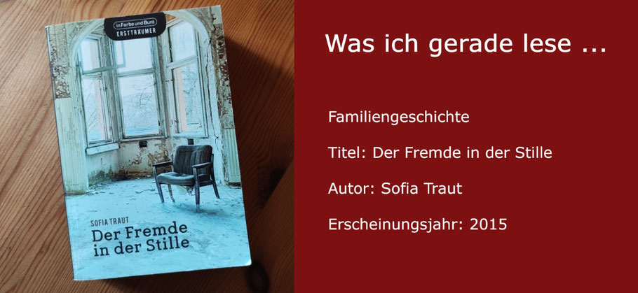Was ich gerade lese: "Der Fremde in der Stille" von Sofia Traut