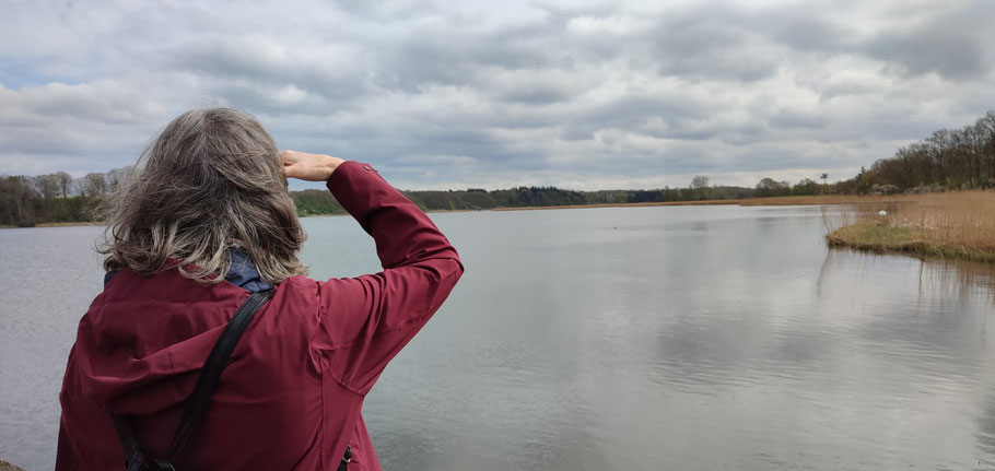 Rückblick aufs 2. Quartal 2025: Auf dem Bootssteg beim Wikingerdorf in Haithabu mit Blick auf das Haddebyer Noor