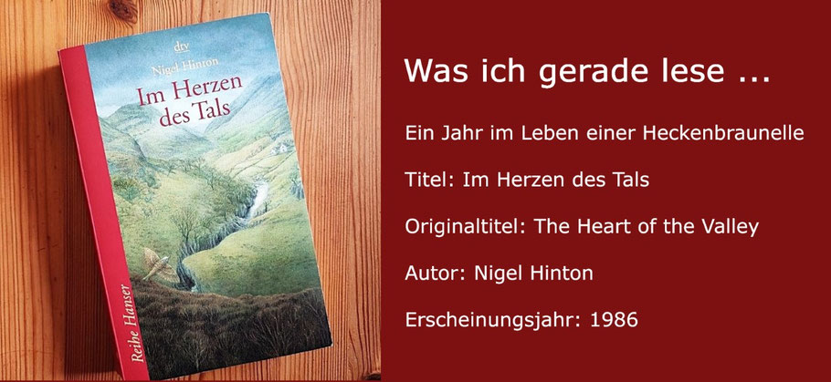 Was ich gerade lese: "Im Herzen des Tals" von Nigel Hinton