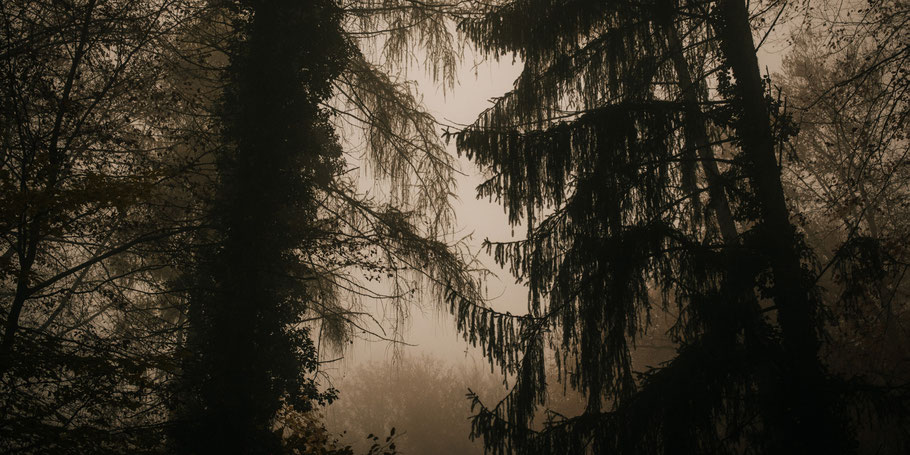 Braunenberg Aalen Wasseralfingen wandern freizeit Stift und Linse Blog