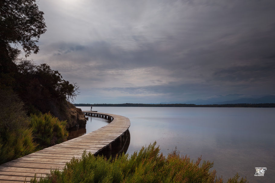 Etang d'Urbino - Corse