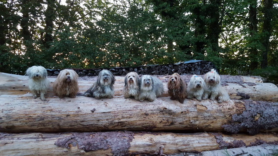 Tami, Bella, Mama Frieda, Smilla, Oma Gundi, Emil, Bruder Hugo, Gonzo