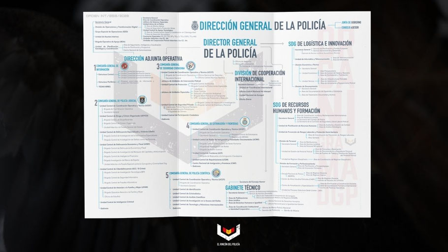 Descargar Organigrama DGP
