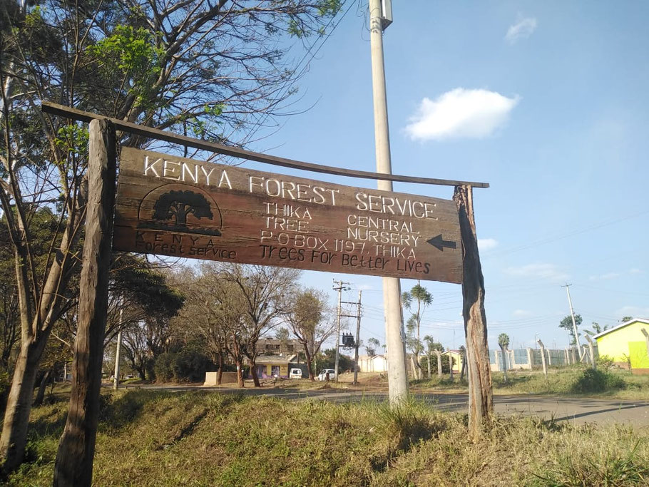 Besuch beim staatlichen Forest Service in Thika