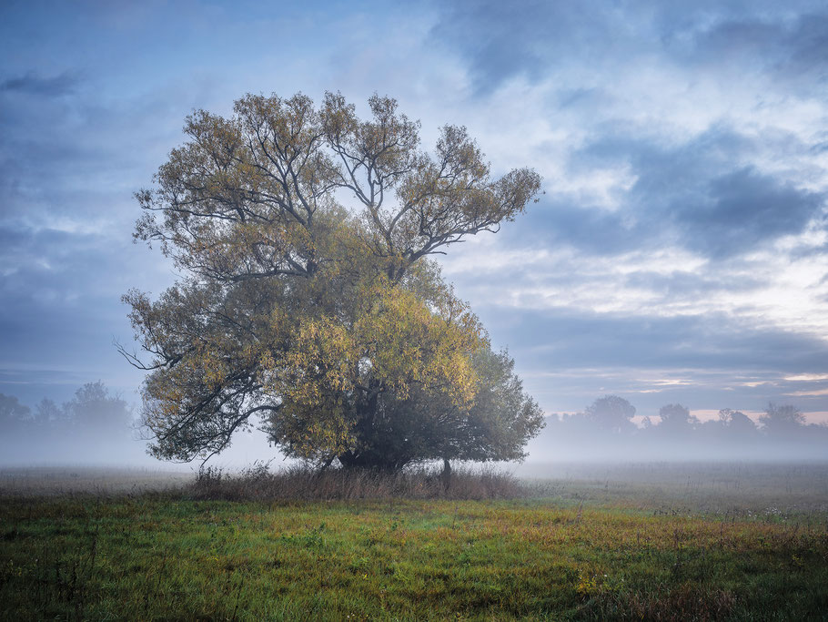 Wie werde ich meinen Mann los? Mit einem Gutschein für einen Fotoworkshop