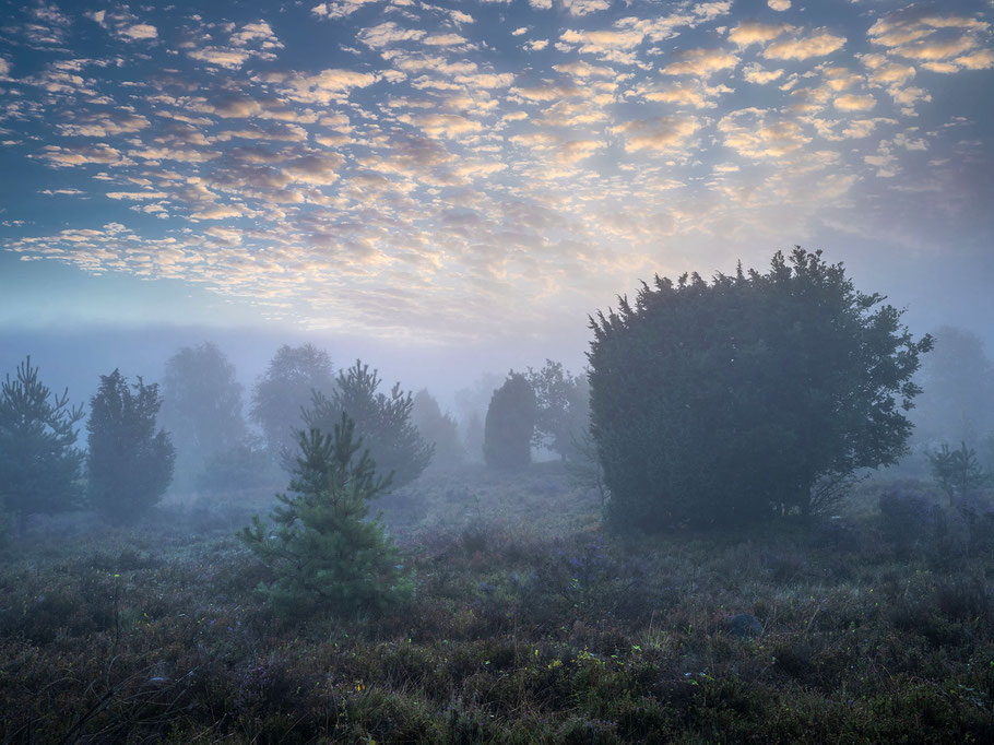 Fotoworkshop Lüneburger Heide