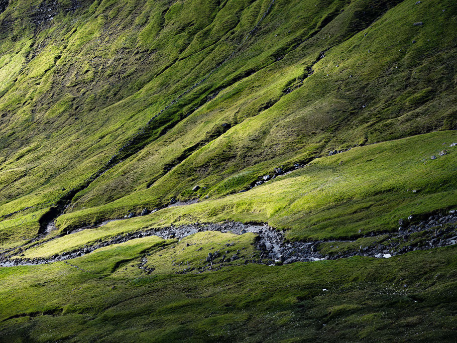 Zahreiche Bäche und kleine Rinnsale fließen von den Bergen ins Tal