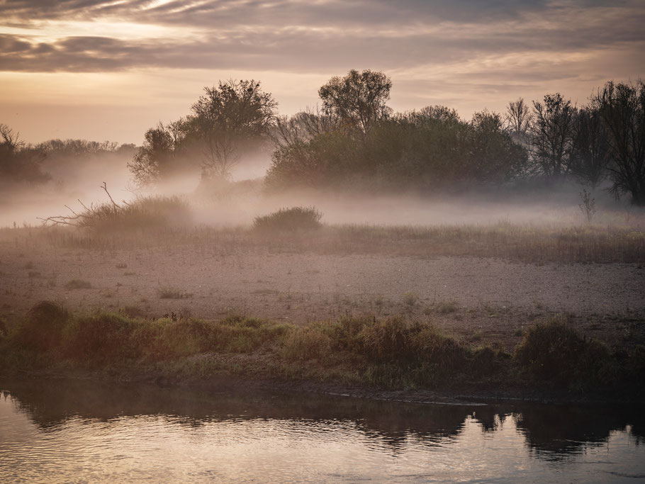 Muldauen im Morgennebel