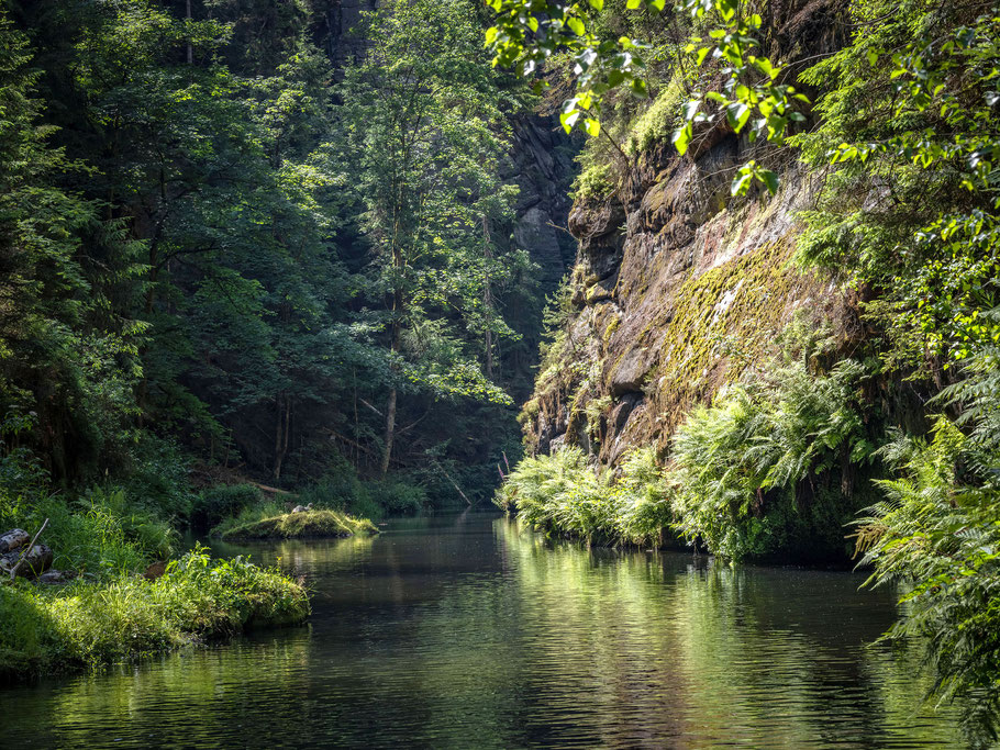 Wilde Klamm