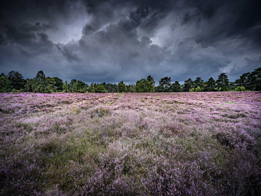 Gewitter über dem Wietzenberg in der Südheide
