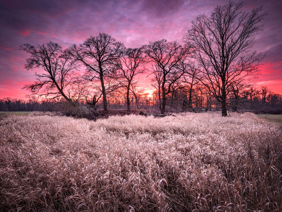 Sonnenuntergang, Fotoworkshop