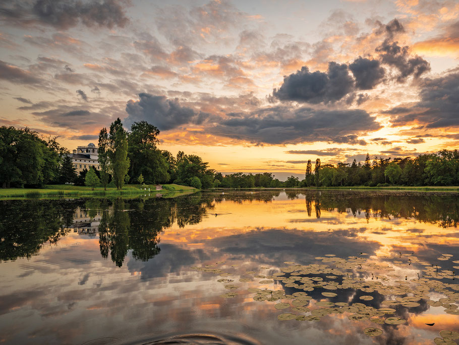 Fotoworkshop im Dessau-Wörlitzer Gartenreich mit Sebastian Kaps