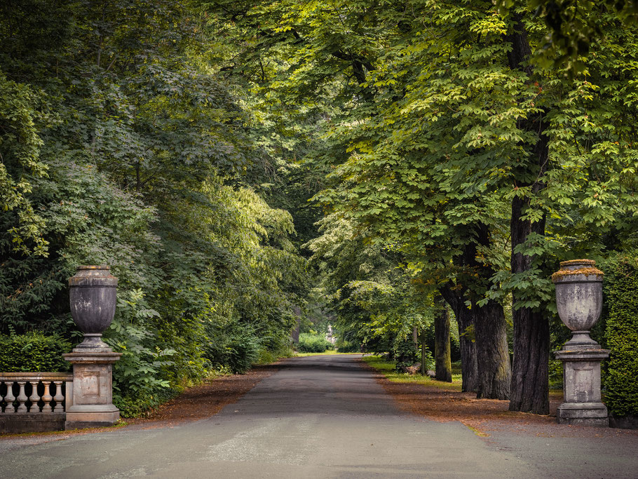 Allee im Dessauer Georgengarten mit Blick zum Fürst-Franz-Denkmal