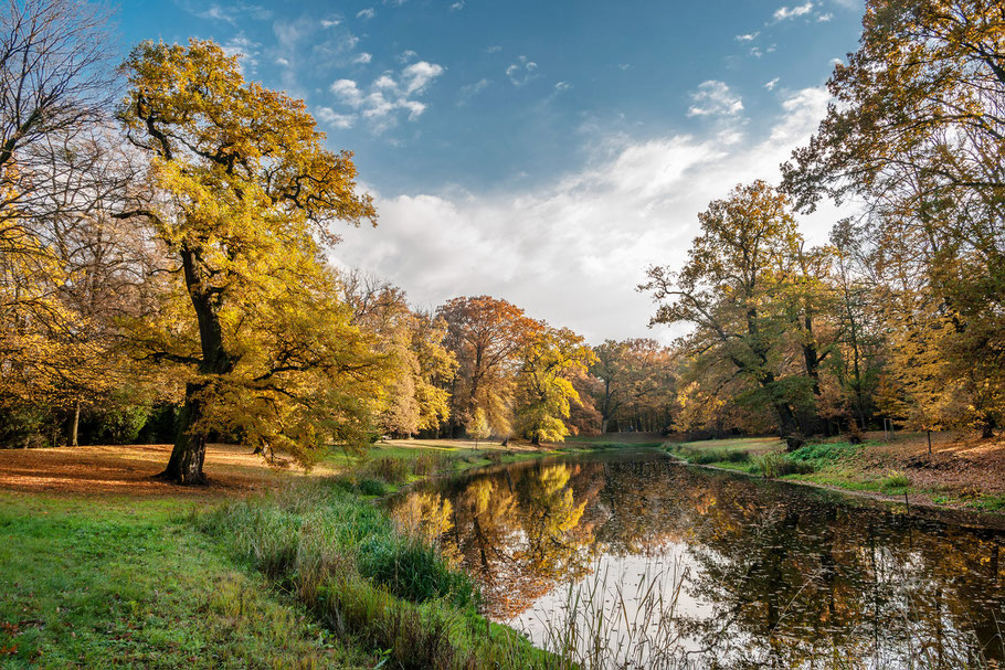 Herbst im Schlosspark Luisium