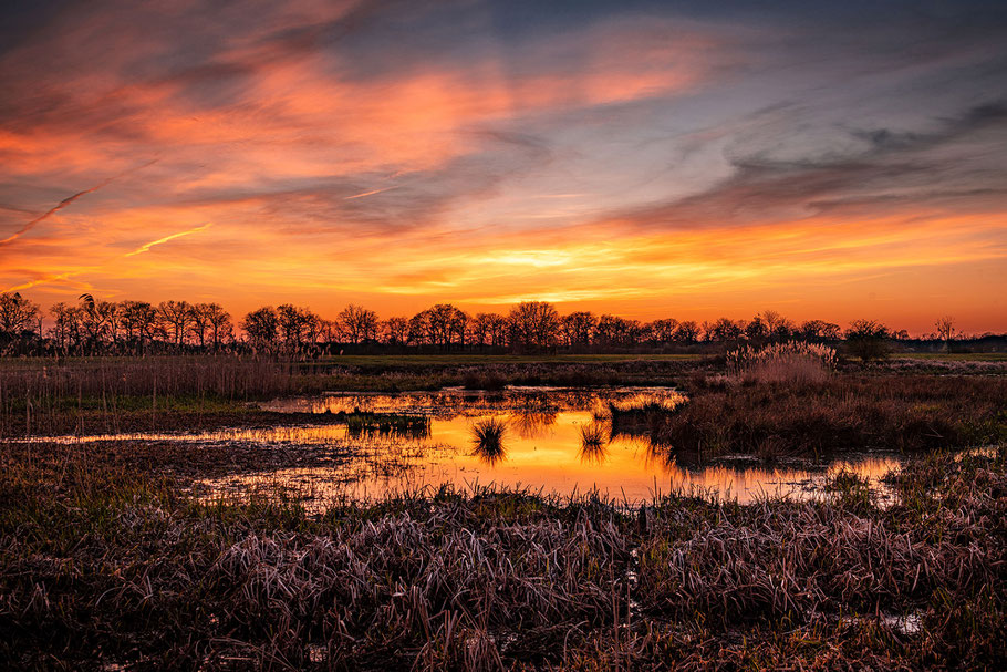 Abendstimmung am Leiner See, Fotoworkshop