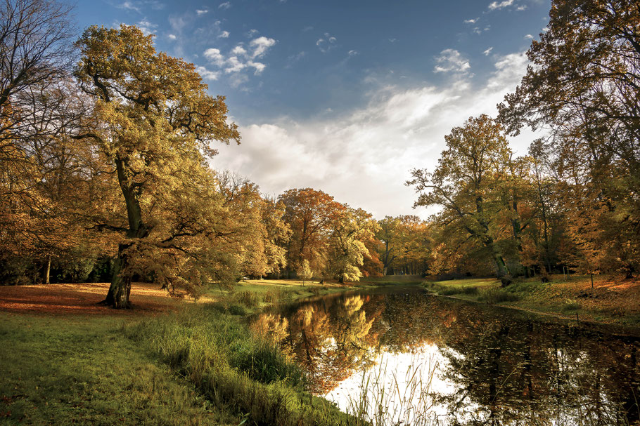 Luisium, Dessau