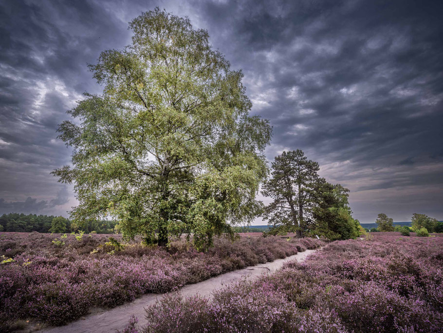 Gewitterstimmung über dem Wietzenberg
