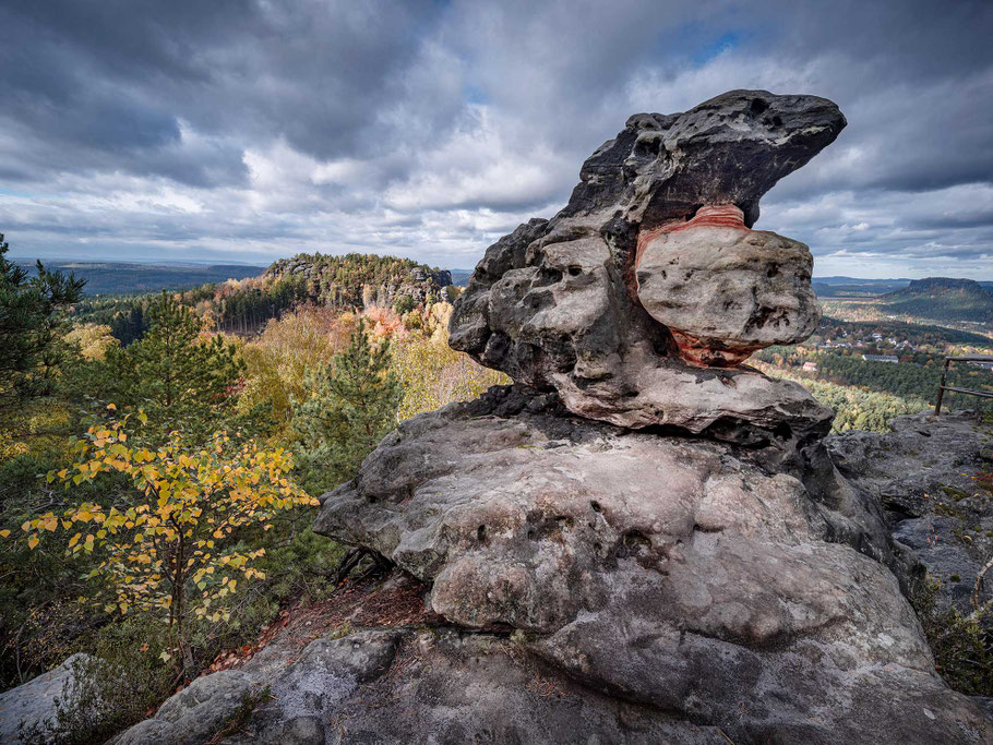 Blick vom Papststein zum Gohrisch
