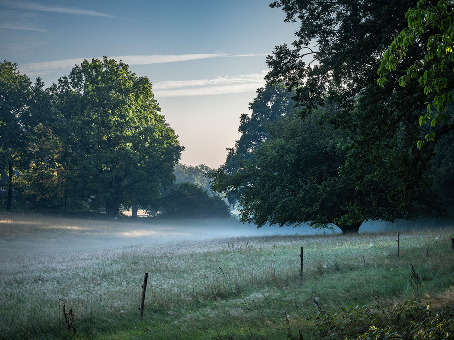 Morgennebel bei Wilsede