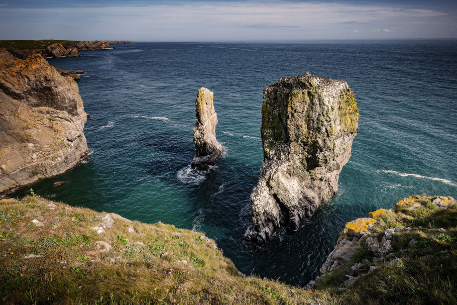 Elegug Stacks, Pembrokeshire