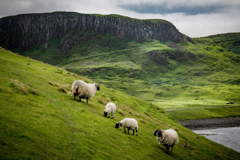 Basaltfelsen bei Duntulm Castle, Isle of Skye, Fotoreise