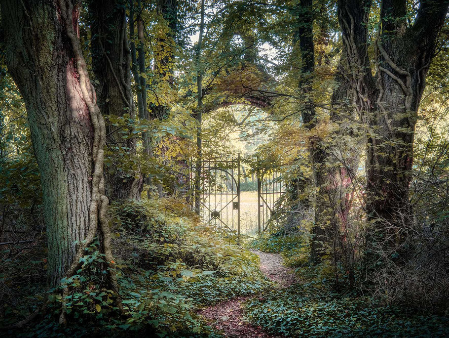 alter Friedhof