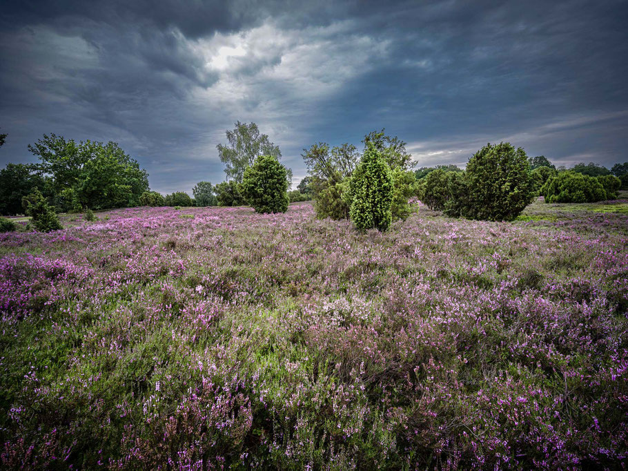 Abziehendes Gewitter über der Heide