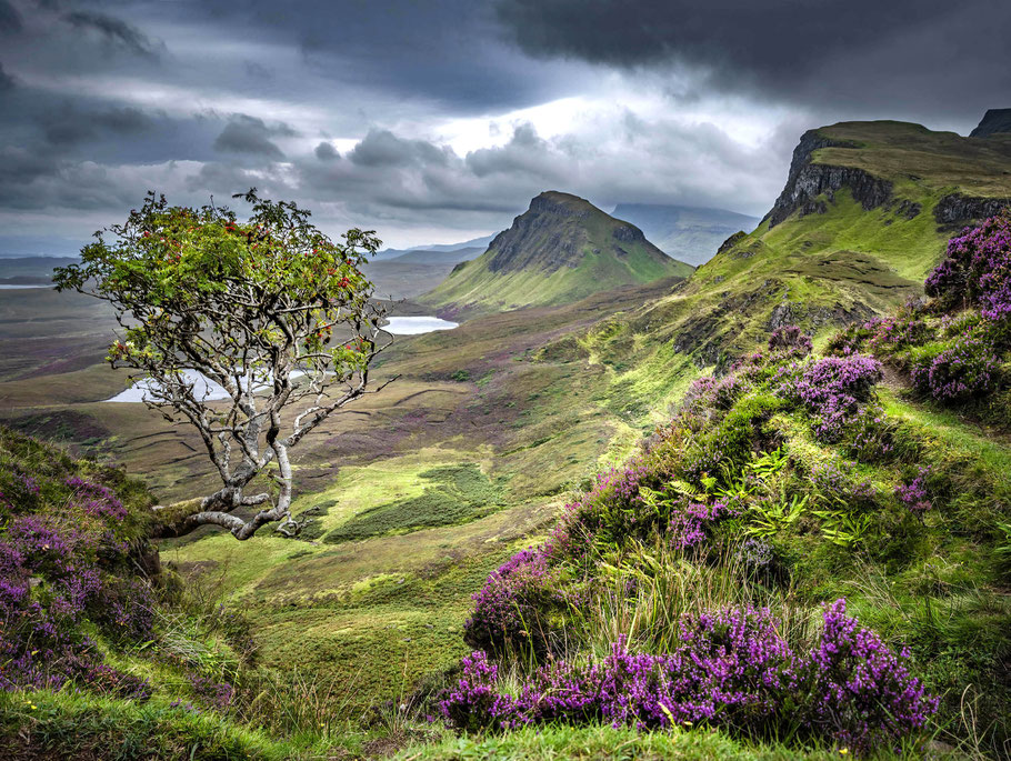 Der Quiraing, Trotternish Ridge, Isle of Skye