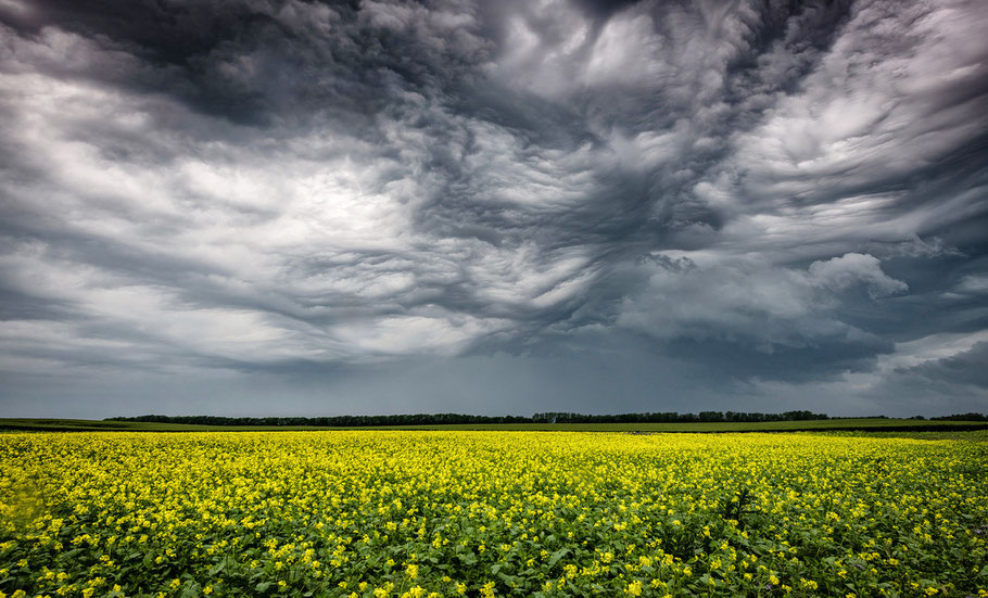 Links zu Fotoreisen und Fotoworkshops mit Sebastian Kaps, 