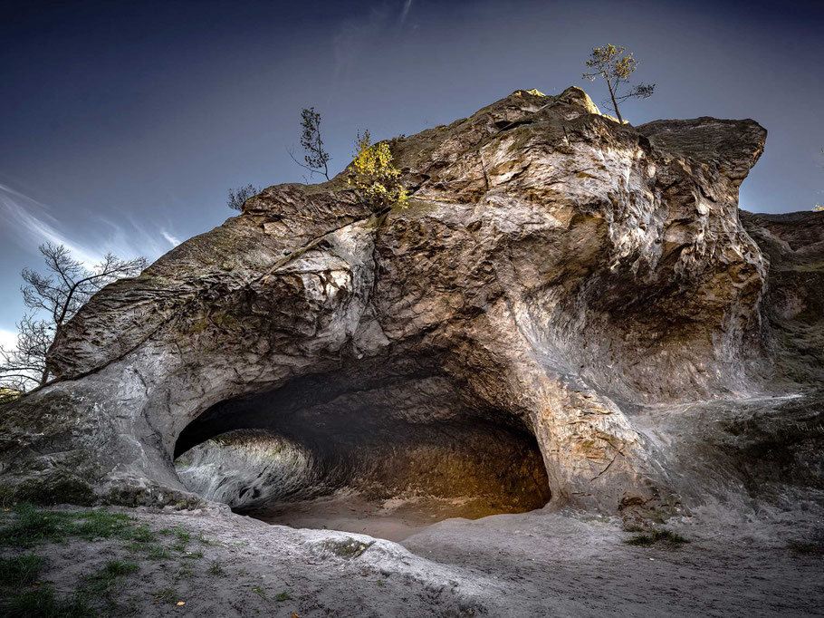 Kuhstall gegenüber vom Hamburger Wappen