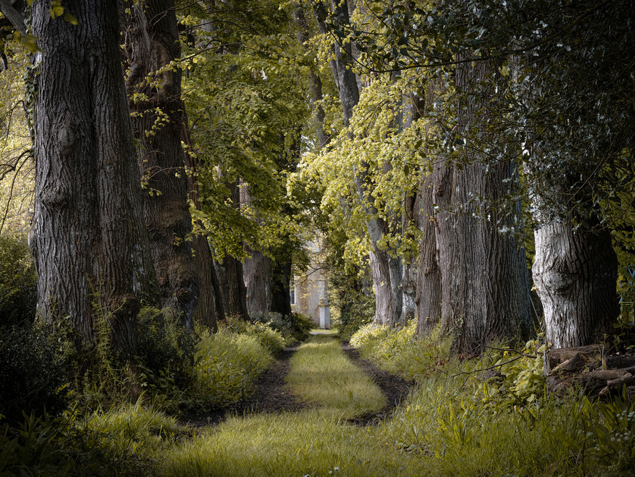 Lindenallee hinter dem Herrenhaus Le Hourmelin