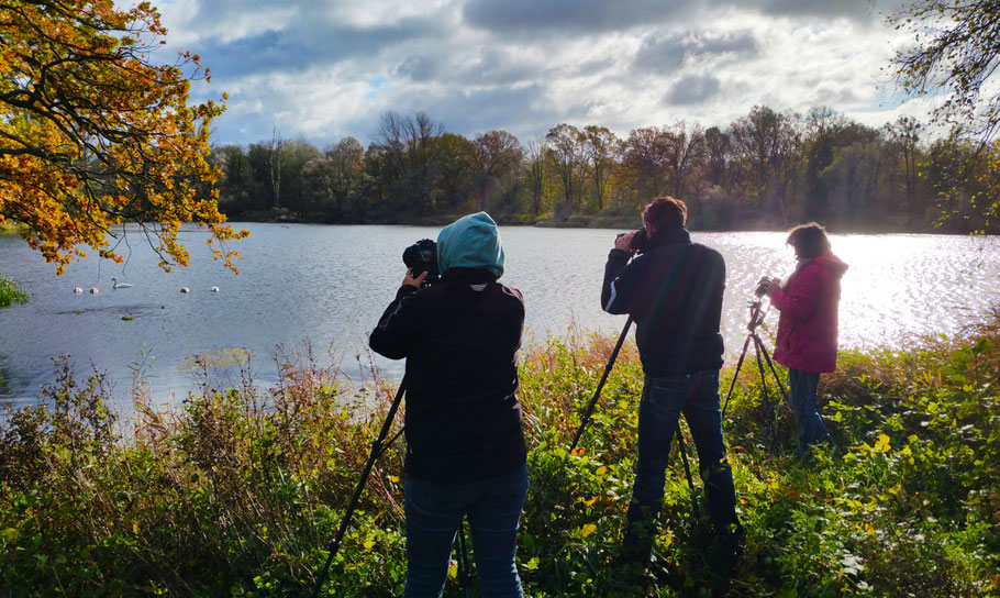 Geburtstagsgeschenk, Fotoworkshop Dessau-Wörlitzer Gartenreich im Herbst mit Sebastian Kaps