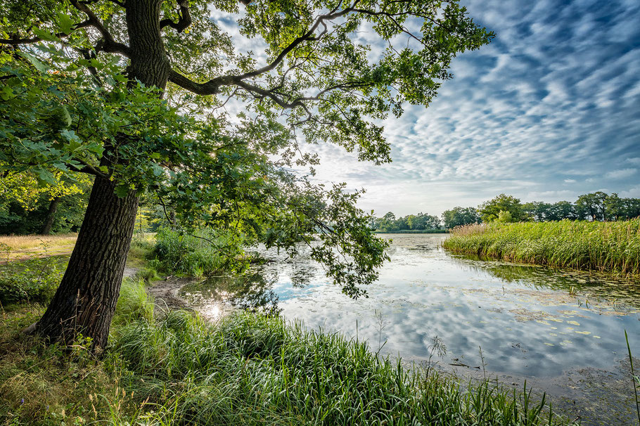 Kühnauer See, Sehenswürdigkeiten in Dessau