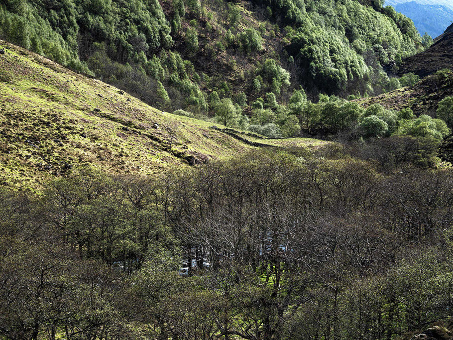 Glen Shiel