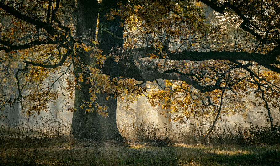 Wie werde ich meinen Mann los, Fotoworkshop