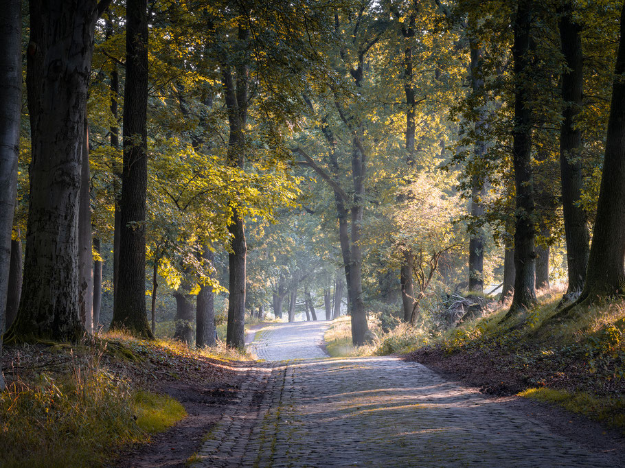 Wanderung durch die Lüneburger Heide