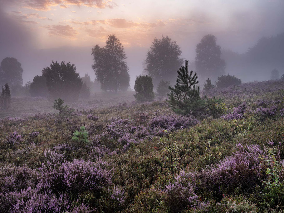 Totengrund, Wilsede, Lüneburger Heide