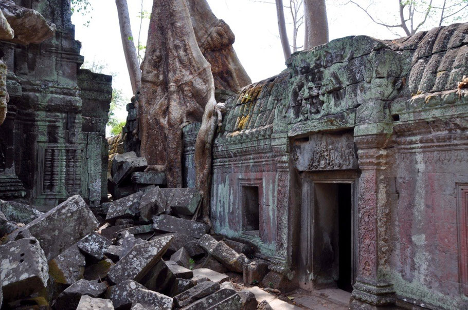 Ta Prohm Tempel