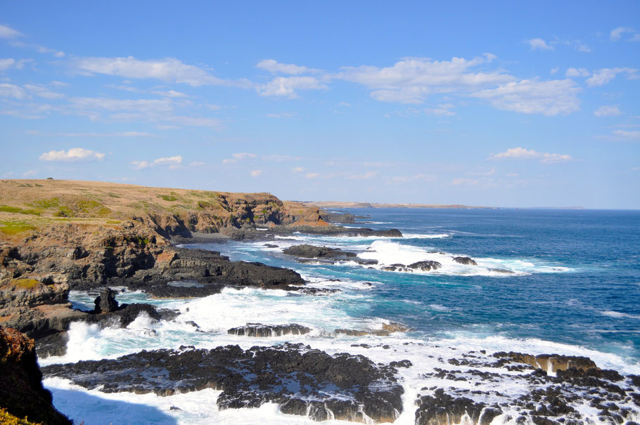 The Noobies, Phillip Island