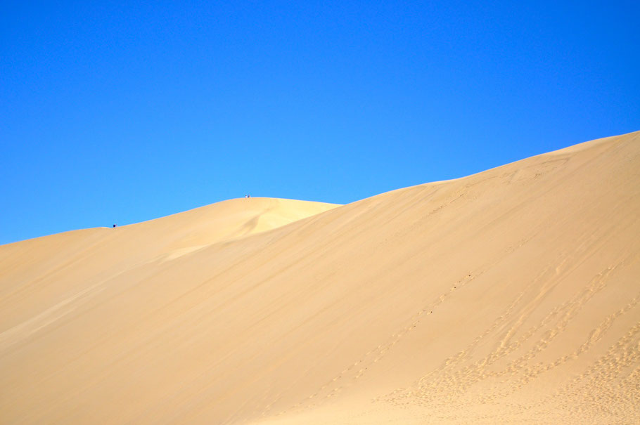 Giant Sand Dune