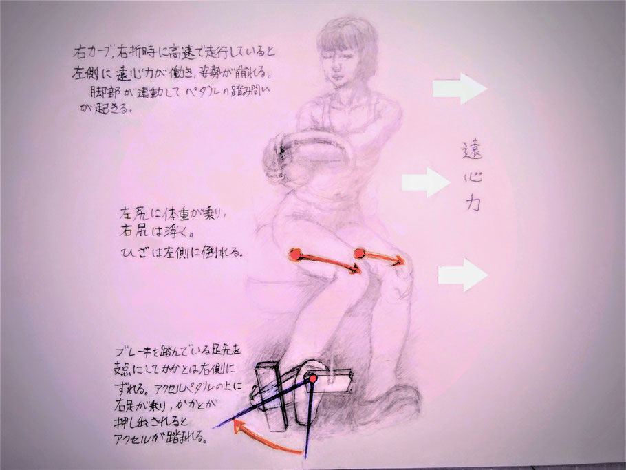 ペダルの踏み間違い　運転姿勢