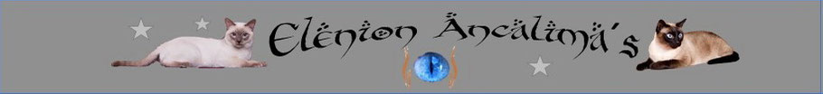 elenion-ancalimas Webseite!
