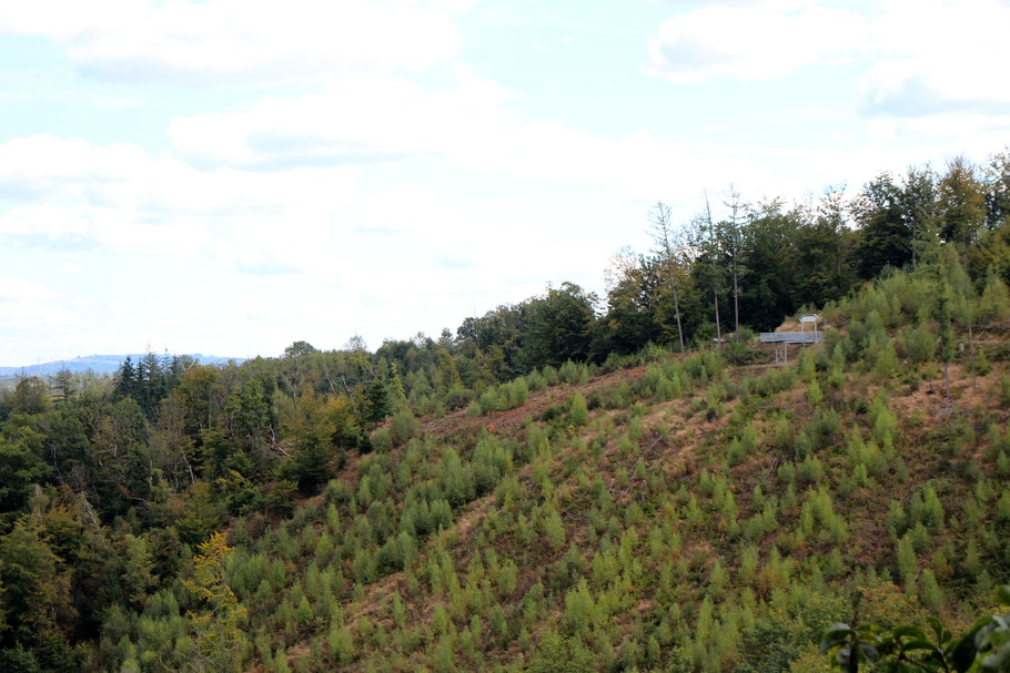 Skywalk aus der Ferne