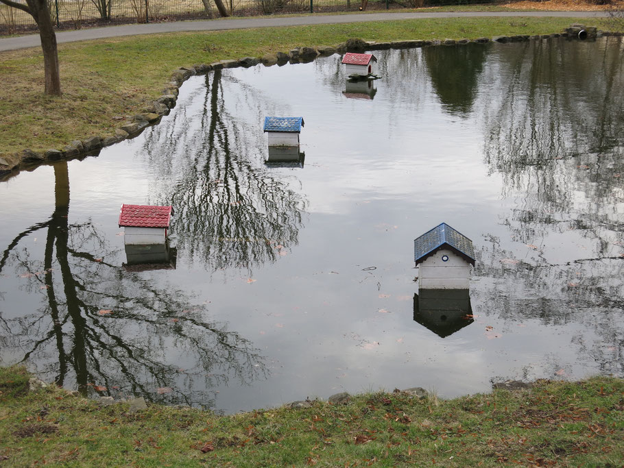 See mit mehreren kleinen Holzhäusern im Wasser für die Enten. Im Wasser spiegeln sich kahle Bäume. 